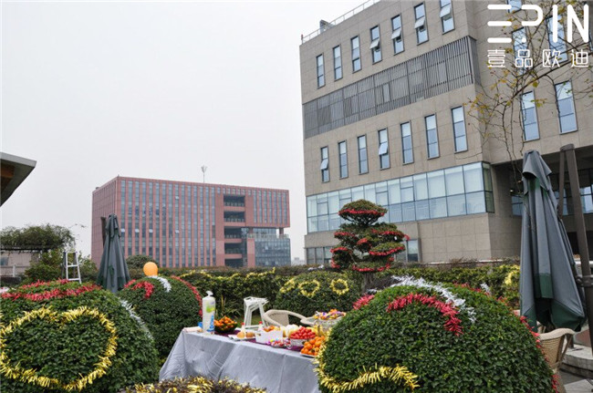 香蕉成人在线网站欧迪办公家具员工生日主题会2