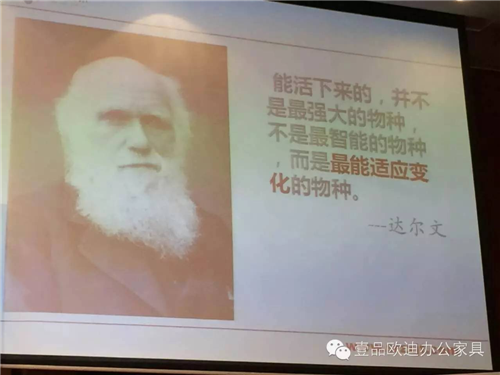 香蕉成人在线网站欧迪董事长张晓帆受邀参加“2016企业战略转型暨电子商务高峰论坛”！